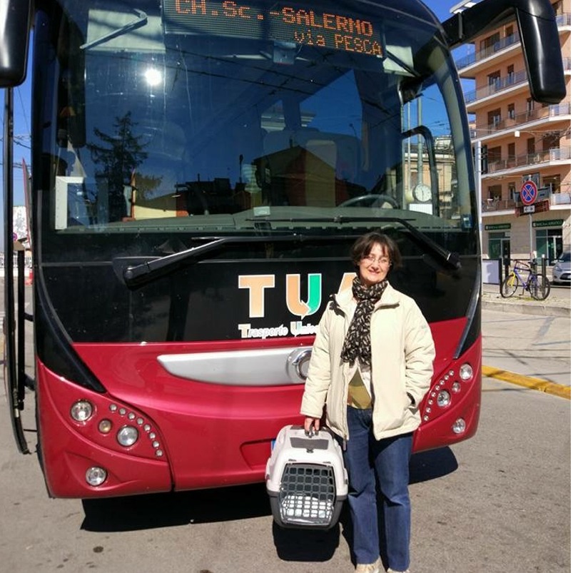 Il Viaggio